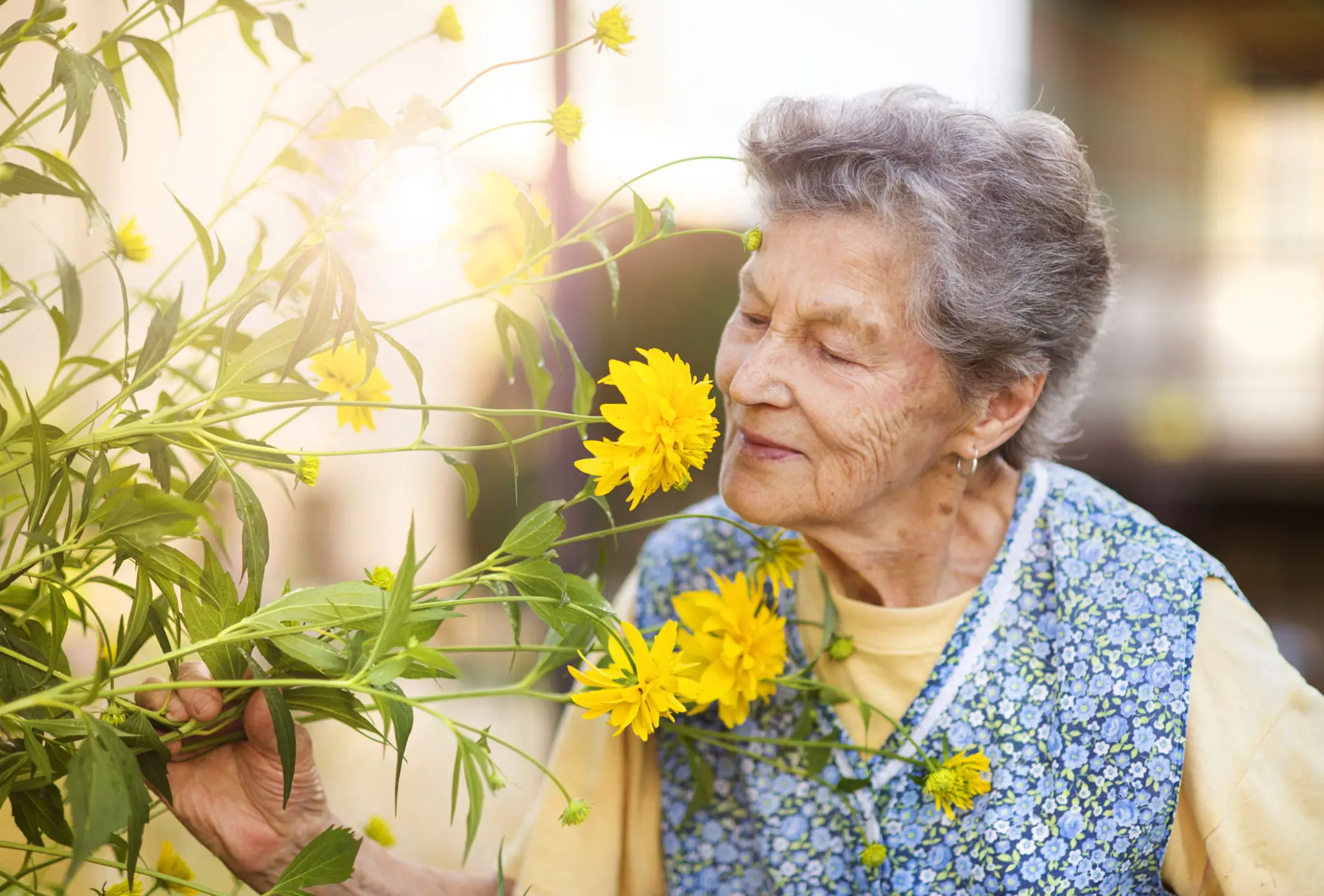 Elderly woman enjoying yellow flowers in garden.